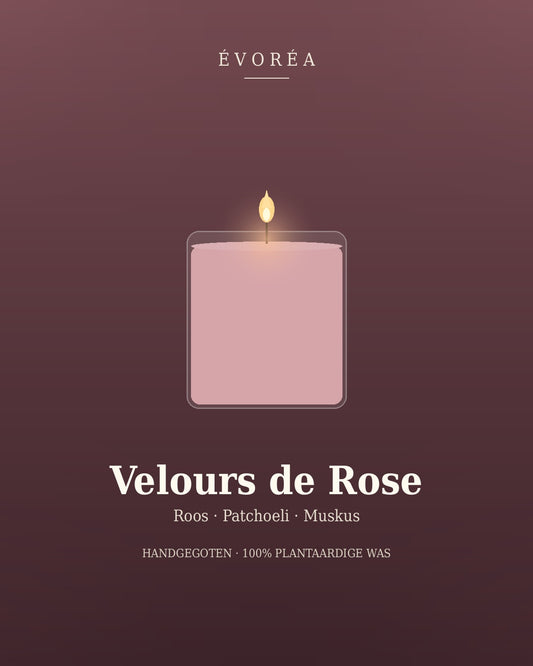 Velours de Rose